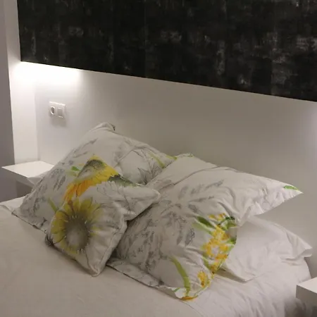 Foroplaza Porta San Pedro Pleno Centro Vistas Muralla Апартаменты *