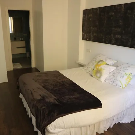 Foroplaza Porta San Pedro Pleno Centro Vistas Muralla Луго